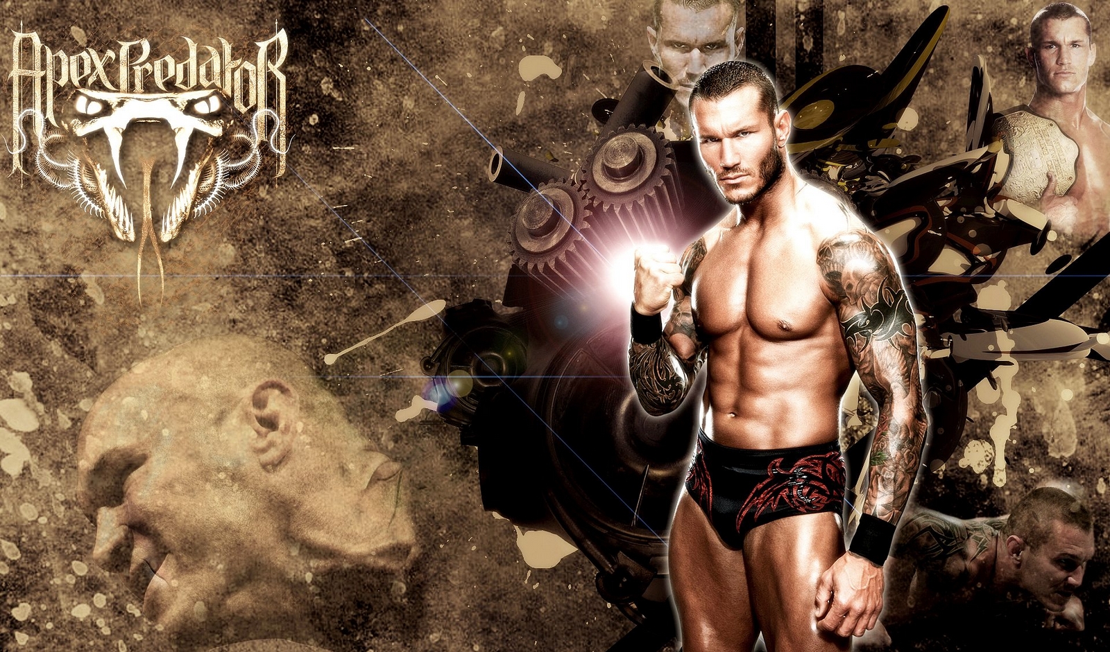 Randy Orton HD Wallpapers 