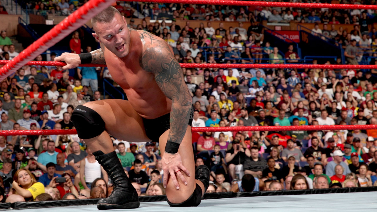 Randy Orton HD Wallpaper