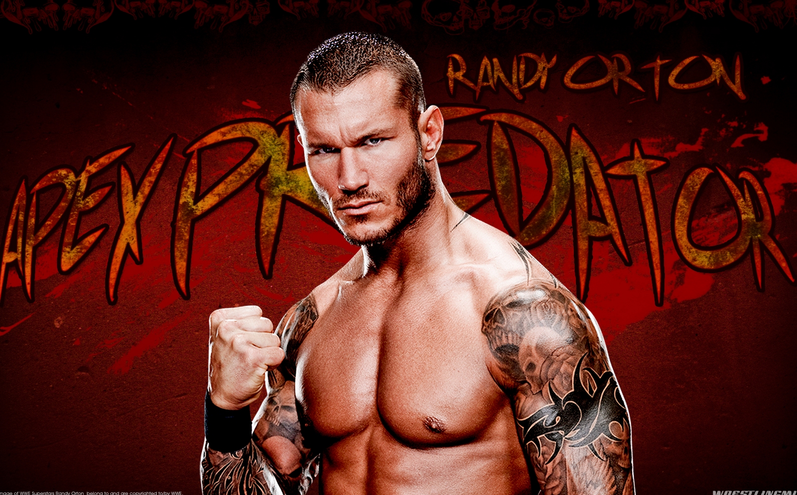 Randy Orton HD Wallpaper