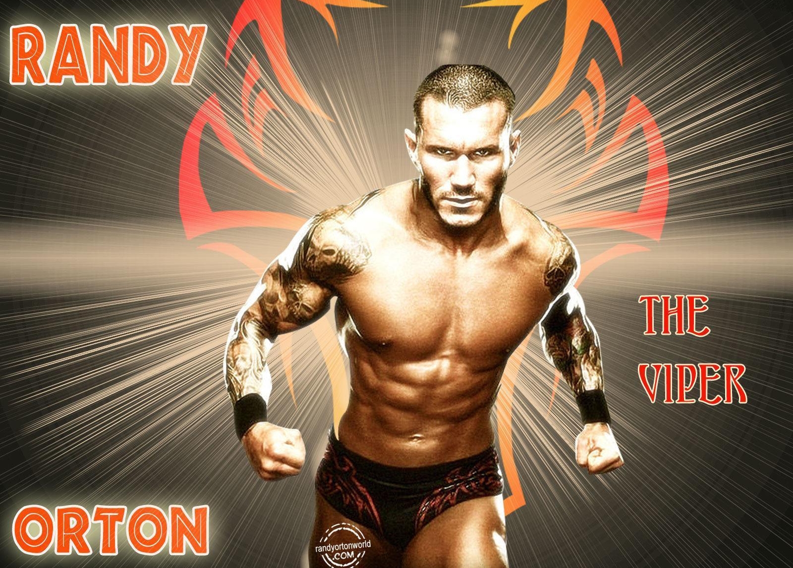 Randy Orton HD Wallpaper