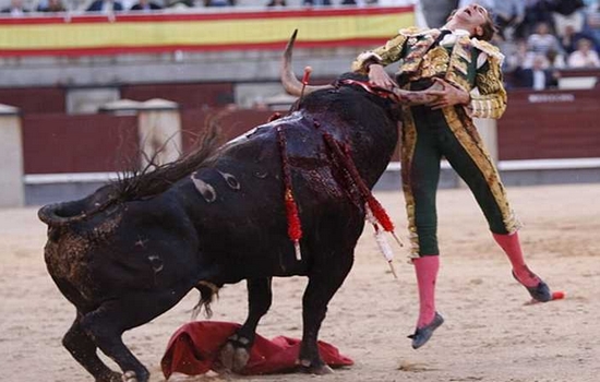 sports violence articles Bull Fighting Most Violent Sports in the World