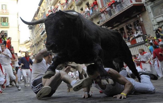 sports violence articles Running of Bulls Most Violent Sports in the World