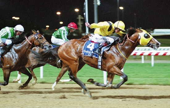 Top 10 Most Popular Sports in United Arab Emirates