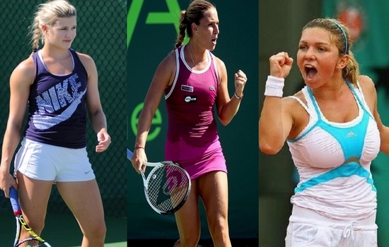 Review of the Tennis Grand Slam Winners 2014