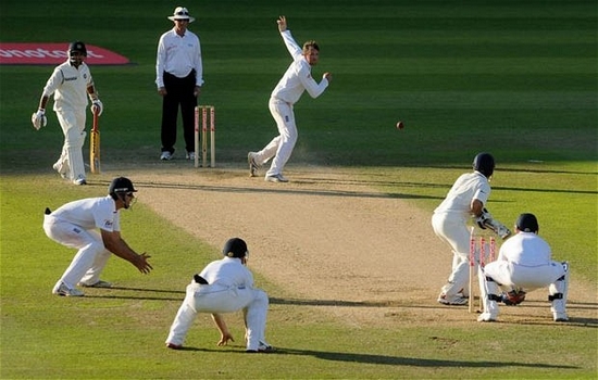 Cricket Most Popular Sports in the World