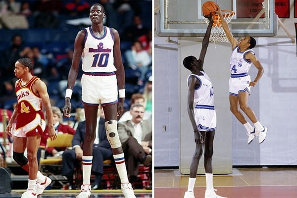 the NBA Tallest Player